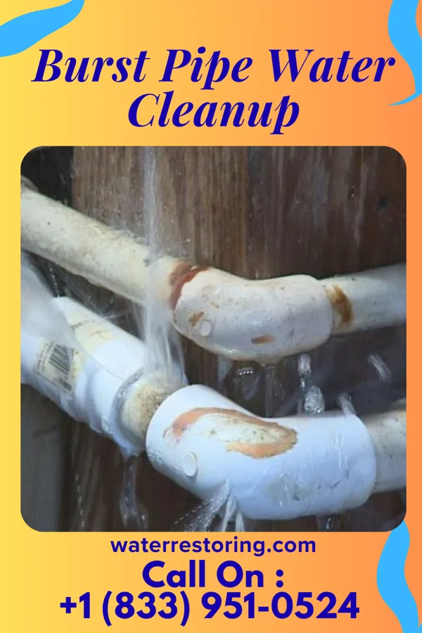 Burst Pipe Water Cleanup in Chapin, SC
