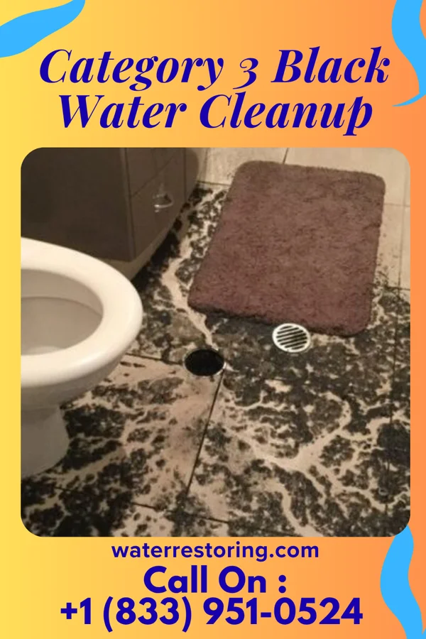 Category 3 Black Water Cleanup in Chapin, SC