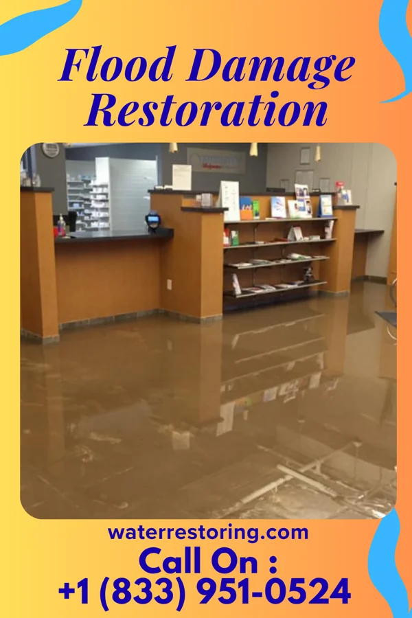 Flood Damage Restoration in Chapin, SC