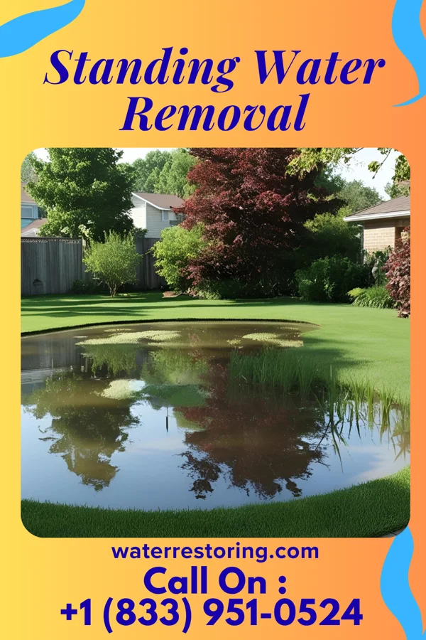 Standing Water Removal in Chapin, SC